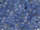 TOHO Round Beads 8/0 - PF2123 PermaFinish Silver-Lined Milky Sapphire (ca. 9,5g)