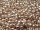TOHO Round Beads 8/0 - PF552 PermaFinish Galvanized Sweet Blush (ca. 9,5g)