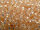 TOHO Round Beads 11/0 - PF2111 Silver-Lined Milky Peach (ca. 10g)