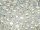 TOHO Round Beads 6/0 - 161 Trans-Rainbow Crystal (ca. 8,5g)