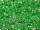 TOHO Round Beads 15/0 - 24B Silver-Lined Dark Peridot (ca. 6g)