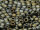 TOHO Round Beads 8/0 - 83F Frosted Metallic Iris Brown (ca. 10g)