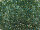 TOHO Round Beads 11/0 - 284 Gold-Lined Aqua (ca. 10g)