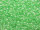 TOHO Round Beads 11/0 - 354 Mint/Julep-Lined Crystal (ca. 10g)