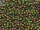 TOHO Round Beads 11/0 - 708 Matte-Color Cassiopeia (ca. 10g)