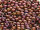 TOHO Round Beads 8/0 - 703 Matte-Color Mauve Mocha (ca. 9,5g)