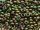 TOHO Round Beads 8/0 - 708 Matte-Color Cassiopeia (ca. 9,5g)