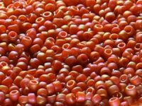TOHO Round Beads 15/0 - 2641F Semi Glazed Rainbow Orange...