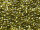 TOHO Round Beads 15/0 - 991 Gold-Lined Peridot (ca. 6g)