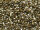 TOHO Round Beads 15/0 - 993 Gold-Lined Black Diamond (ca. 6g)