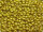 TOHO Round Beads 11/0 - PF590F PermaFinish Galvanized Frosted Lemon Gold (ca. 10g)