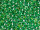 TOHO Round Beads 8/0 - PF588 PermaFinish Galvanized Mint (ca. 9,5g)