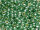 TOHO Round Beads 8/0 - PF589 PermaFinish Galvanized Jade (ca. 9,5g)