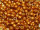 TOHO Round Beads 8/0 - PF591F PermaFinish Galvanized Frosted Golden Ochre (ca. 9,5g)