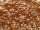 TOHO Demi Round 8/0 - PF551 Permafinish Galvanized Rose Gold (ca. 6g)