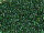 TOHO Round Beads 15/0 - 384 Opaque Green-Lined RB Montana Blue (ca. 6g)