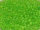 TOHO Aiko Beads 11/0 - 306FM Shamrock-Lined Frosted Jonquil (ca. 3g)