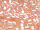 Miyuki Delica 11/0 DB106 Transparent Luster Melon Pink (ca. 5g)