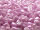 Miyuki Delica 11/0 DB253 "Liseran Purple" (15g)