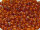 Miyuki Tropfen 2,8mm (Drop Beads) - DP140 (ca. 14g)