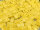 Miyuki Half-Tila Beads TLH404FR Matte Opaque RB Yellow (ca. 5g)