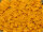 Miyuki Half-Tila Beads TLH2311 Dandelion (ca. 5g)