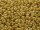 TOHO Round Beads 15/0 - PF557F PermaFinish Matte Galvanized Gold (30g Vorteilspack)