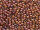 TOHO Round Beads 11/0 - 703 Matte-Color Mauve Mocha (50g Vorteilspack)