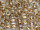 TOHO Round Beads 11/0 - 994 Gold-Lined Rainbow Crystal (50g Vorteilspack)