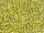 TOHO Round Beads 11/0 - 246 Opaque Yellow-Lined Luster Black Diamond (50g Vorteilspack)