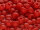 TOHO Round Beads 6/0 - 45F Opaque Frosted Pepper Red (ca. 8,5g)