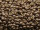 TOHO Round Beads 8/0 - PF556F PermaFinish Matte Galvanized Mauve (50g Vorteilspack)