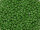TOHO Round Beads 15/0 - 2603F Semi-Glazed Clover (ca. 6g)