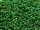 TOHO Round Beads 15/0 - 47H Opaque Pine Green (30g Vorteilspack)