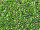 TOHO Round Beads 11/0 - 742 Copper-Lined Peridot (50g Vorteilspack)
