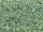 TOHO Round Beads 11/0 - 915 Ceylon Dark Seafoam (50g Vorteilspack)