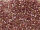 TOHO Round Beads 15/0 - 203 Gold-Lustered Light Amethyst (30g Vorteilspack)