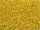 TOHO Round Beads 15/0 - 302 Apricot-Lined Jonquil (30g Vorteilspack)