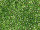 TOHO Round Beads 15/0 - 742 Copper-Lined Peridot (30g Vorteilspack)