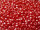 TOHO Round Beads 11/0 - 125 Opaque Lustered Cherry (50g Vorteilspack)