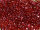 TOHO 3-Cut 12/0 - 332 Gold-Lustered Raspberry (30g Vorteilspack)